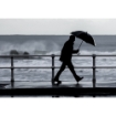 ALBERT. Umbrella with automatic opening