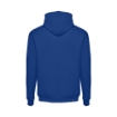 THC PHOENIX. Unisex hooded sweatshirt