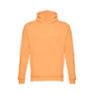 THC PHOENIX. Unisex hooded sweatshirt