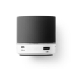 PEREY. Portable speaker with microphone