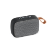 GANTE. Portable speaker with microphone