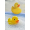 DUCK. Rubber duck in PVC