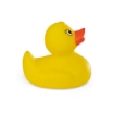 DUCK. Rubber duck in PVC