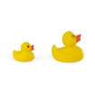 DUCK. Rubber duck in PVC