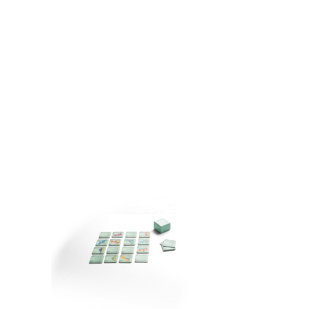 TRICERATOPS. Memory game