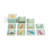 TRICERATOPS. Memory game