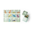 TRICERATOPS. Memory game