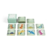 TRICERATOPS. Memory game